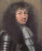 Nanteuil, Robert Portrait of Louis XIV,King of France (mk17) china oil painting reproduction